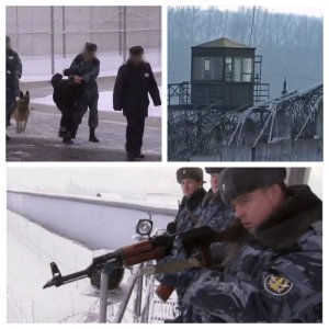 ​俄罗斯死亡监狱有多硬核？700名囚犯有1000名狱警，几十个狙击手