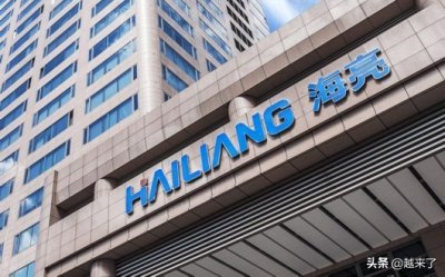 ​屡次逆势成长，新危机下能否涅槃重生？| 海亮集团企业发展史