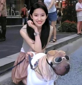 ​短发的刘亦菲 网友评论：人美怎样都美。