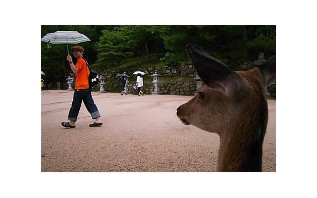 撩硬男友的亲吻方法 从他这个部位吻起他会受不了 撩硬男友的亲吻方法 从他这个部位吻起他会受不了
