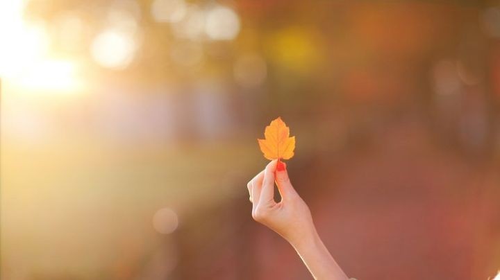 女生喜欢什么样的男生（女人最喜欢的男人文章讲解）