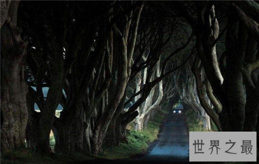 世界上令人惊叹的十个地方，女神的洞穴，巨人走过的路