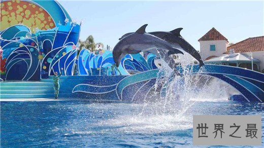 美国十大最受欢迎的主题公园，好莱坞环球影城最受欢迎