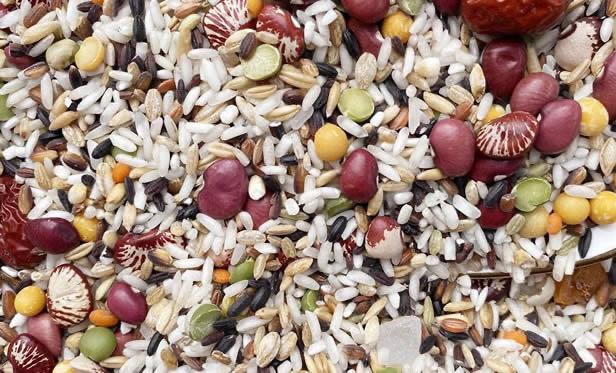 生活八宝粥材料是哪八种 不同的八种原料简介  3