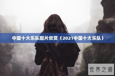 ​中国十大乐队图片欣赏（2025中国十大乐队）