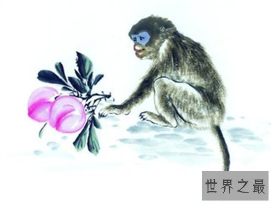 属猴人2025年最新的运势情况 属猴的今年多大才会让运势这么好