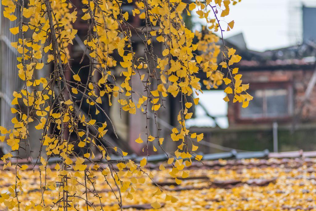 李贺的最经典诗词（李贺代表作品有哪些）