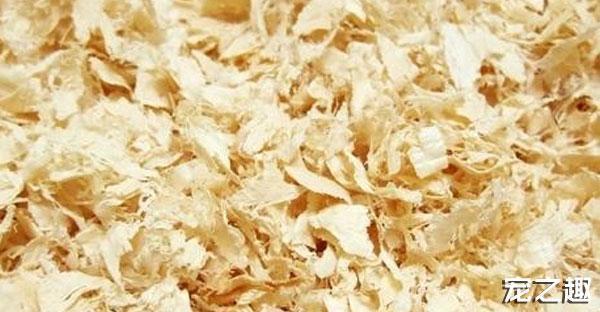 换个口味养只“土肥圆”——土拨鼠饲养全攻略！