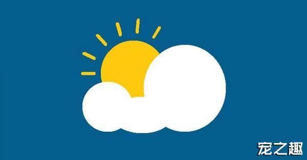 换个口味养只“土肥圆”——土拨鼠饲养全攻略！