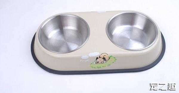 换个口味养只“土肥圆”——土拨鼠饲养全攻略！