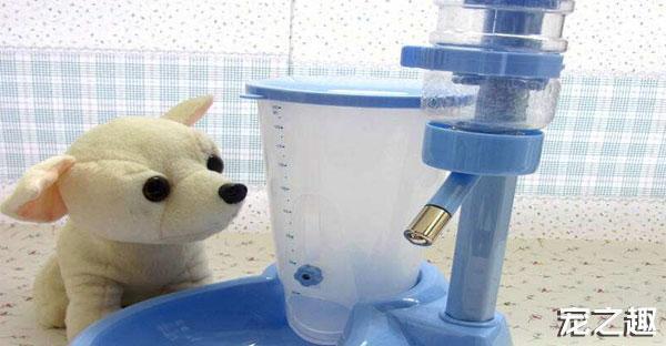 换个口味养只“土肥圆”——土拨鼠饲养全攻略！