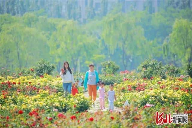 北京广阳区在哪（广阳区属于哪个城市）