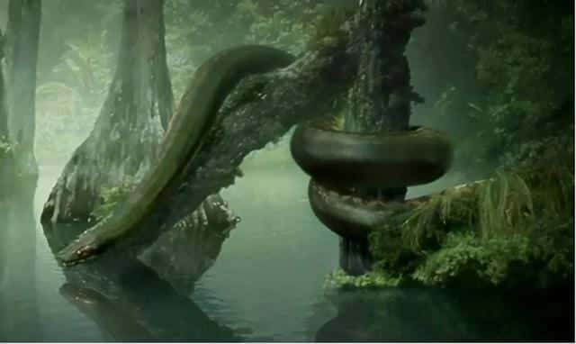 最深大海有多少米（世界最大蟒蛇）