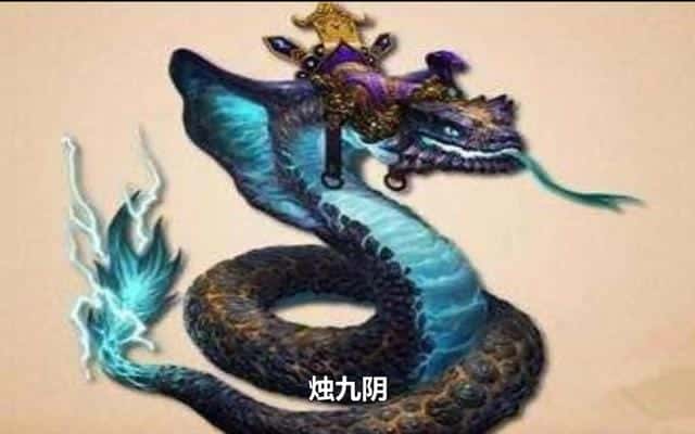 最深大海有多少米（世界最大蟒蛇）