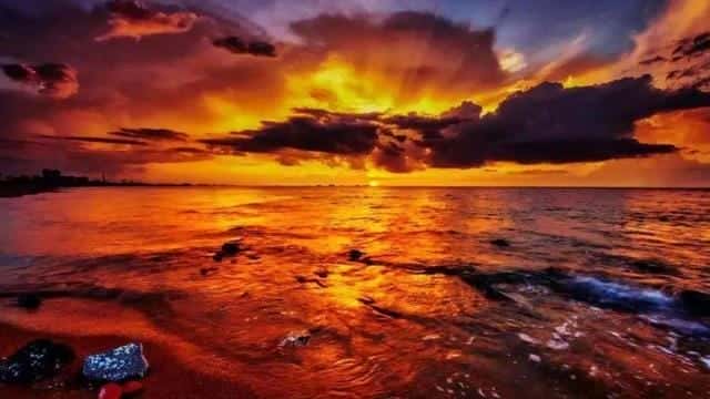 最深大海有多少米（世界最大蟒蛇）