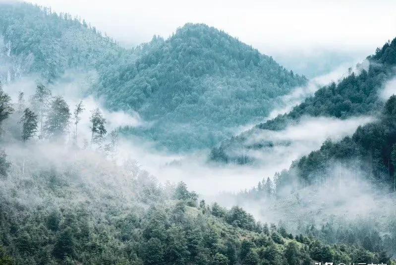 纳兰性德被称为满清第一词人的什么（纳兰性德最好的十首诗）