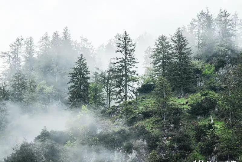 纳兰性德被称为满清第一词人的什么（纳兰性德最好的十首诗）