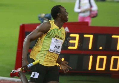 ​世界上最快的动物是什么-每秒多少米（世界上最快的动物每秒多少米）