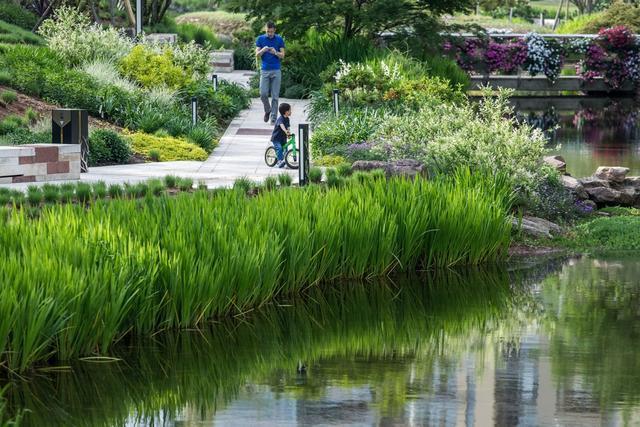 成都麓湖红石公园