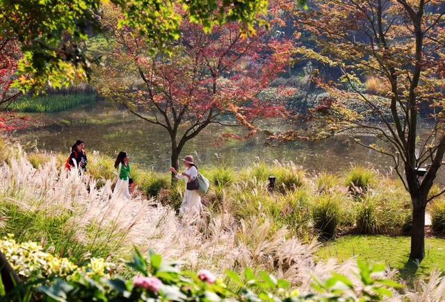 成都麓湖红石公园