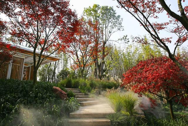 成都麓湖红石公园