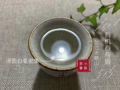 ​什么茶适合用紫砂壶冲泡-什么茶不太适合-为什么呀-（紫砂壶适合泡什么茶最好）
