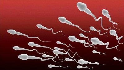 ​捐精是一种伟大的行为，为何仍存在不少困难？