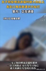 ​大妈行为引发热议，喂食流浪猫是否应该受到谴责？你们支持谁？