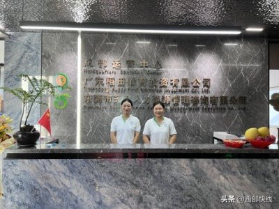 ​东莞市芝麻人力·稻田教育升级运营喜迎二十大