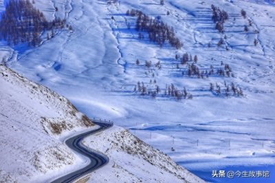 ​新疆江布拉克雪海伴云杉美不胜收