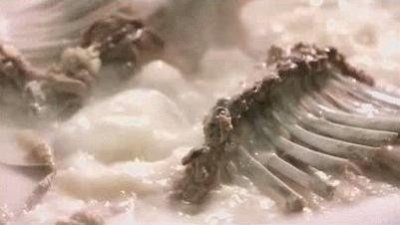 ​山东美食大全--菏泽单县羊肉汤