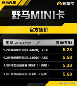​新车 | 售5.38万元起，野马MINI卡新车型上市，单排两座，1.5升动力