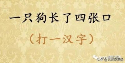 ​猜字谜：一只狗长了四张口（猜一字）