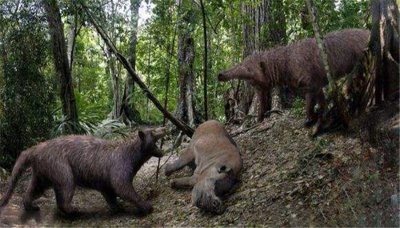 ​比剑齿虎更凶猛的野兽：脑袋似棕熊，身子像狼，还拖着一个大尾