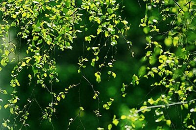 ​“躲春”的真实含义，你知道吗？