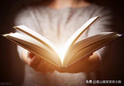 ​DeepSeek推荐男人一生必读的十部经典：横跨古今中外的人生指南