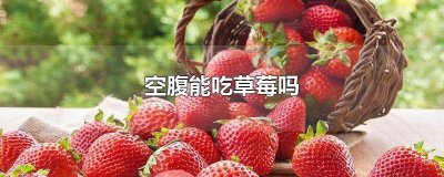 ​空腹可吃草莓吗早餐 空腹能吃草莓吗?