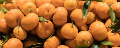 ​炫沙糖桔是什么梗