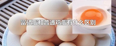 ​富硒鸡蛋和普通鸡蛋营养价值 普通鸡蛋和富硒鸡蛋有什么区别