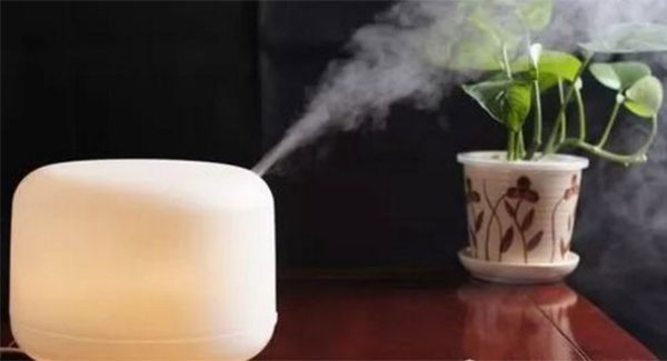 体内湿气重怎么去除 去除湿气的有效方法