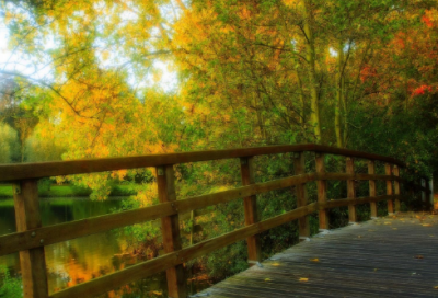 ​拽拽的网名184个