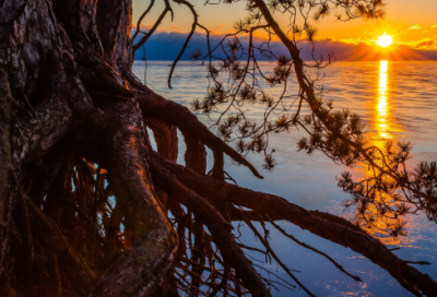 ​成熟网名女人味217个