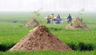 ​祖坟能守几代(祖坟风水影响几代人)