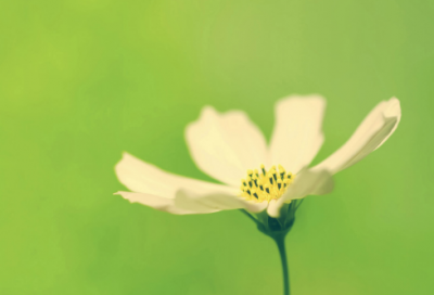 ​绝地求生双排名字(120个)