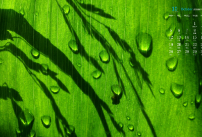 ​最新版初二群网名(精选100个)