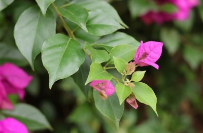 ​带云字的微信昵称