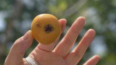 ​永恒之塔游戏名字独一无二