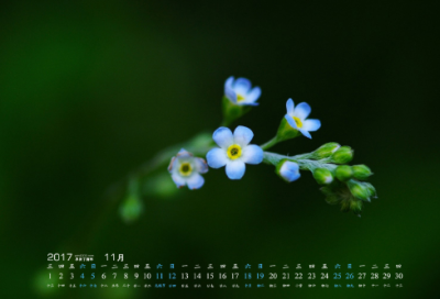 ​不良少年的好听名字(精选83个)