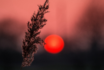 ​一开头网名四个字(精选84个)