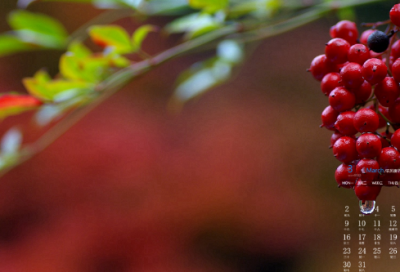 ​笑到窒息的很有幽默的网名(共75个)